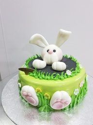 Bunny in Hole Cake